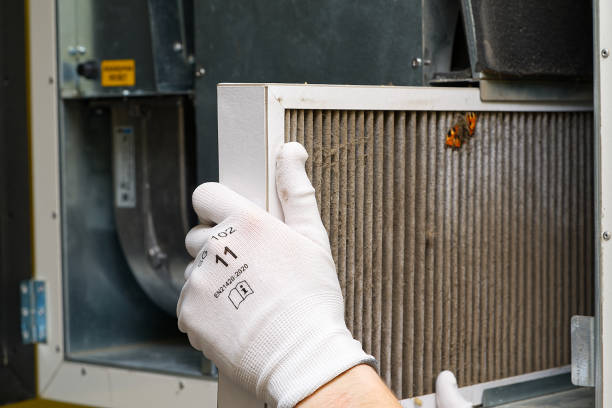 Best Affordable Duct Cleaning Services  in Richmond, CA